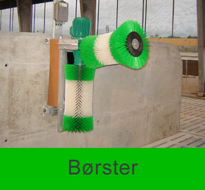 #borster