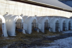 ehytte3